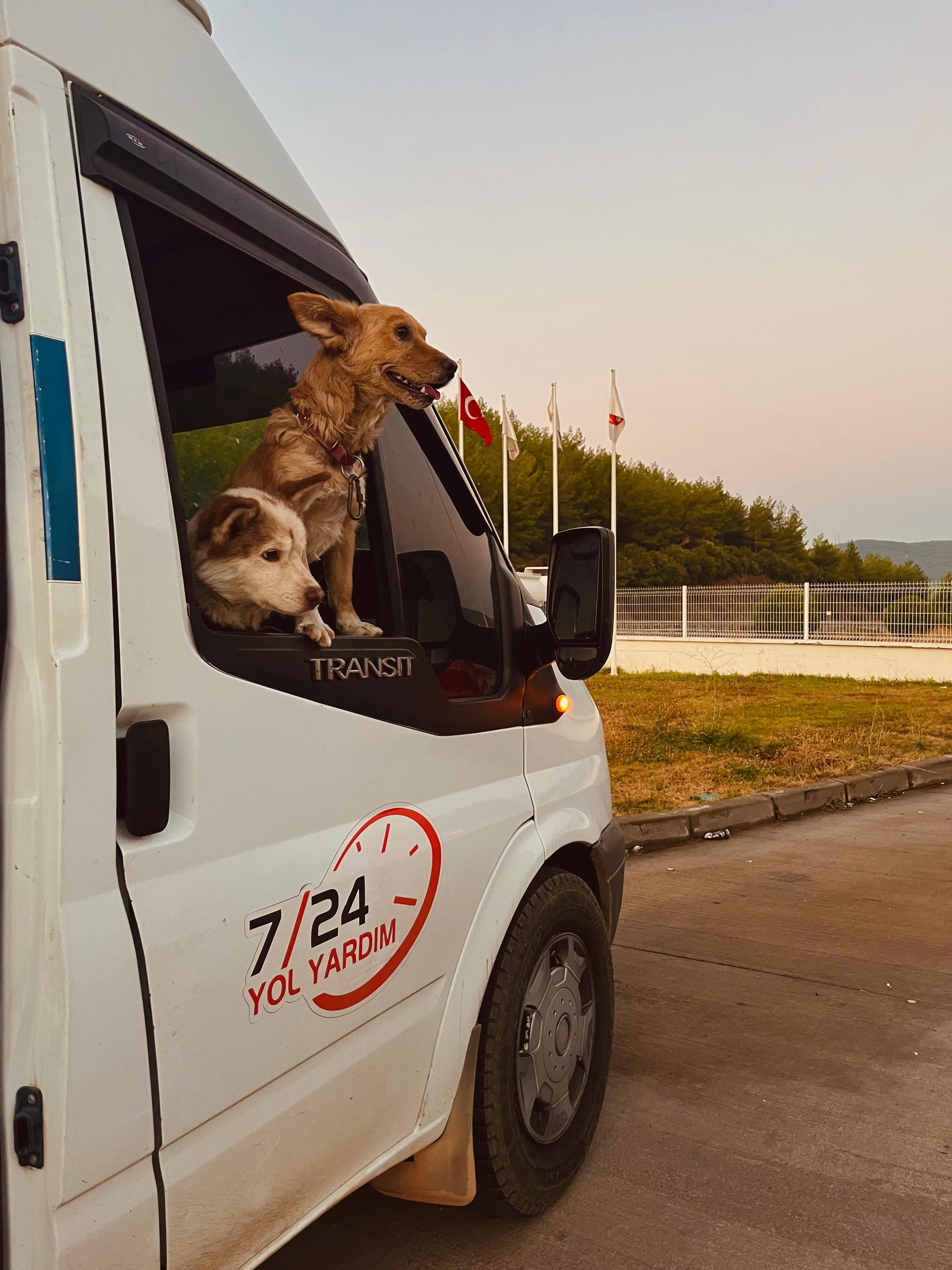 Sıfır & İkinci El Lastik